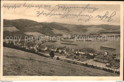 Furtwangen Panorama
