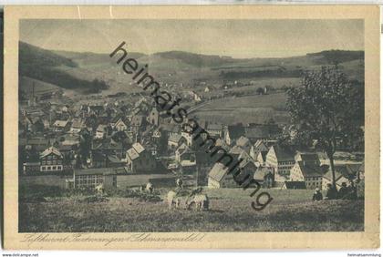 Furtwangen - Verlag Foto-Haus Ziegler Furtwangen