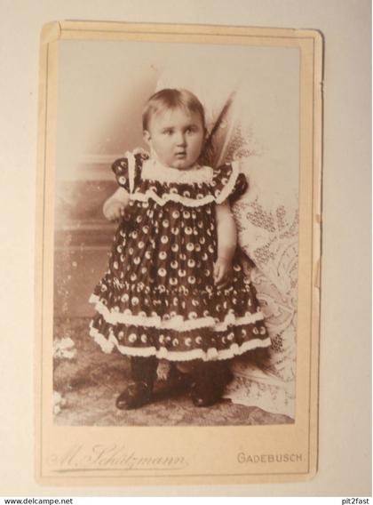 Kabinettfoto - Atelier Schützmann in Gadebusch , Adel , CDV , Photographie , Kabinett !!