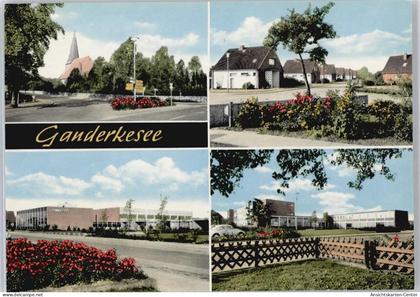 50756316 - Ganderkesee