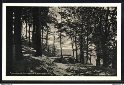 AK Geesthacht, Durchblick auf die Elbe