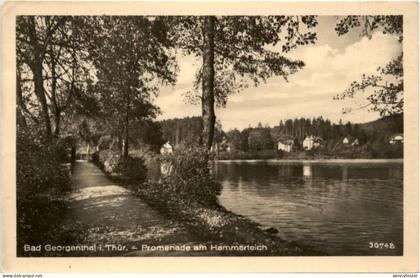 Bad Georgenthal i.Thür., Promenade am Hammerteich
