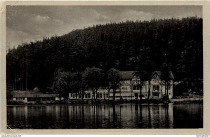 Georgenthal in Thüringen, Kurhaus Schützenhof am Hammerteich