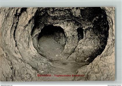 13039528 - Gerolstein