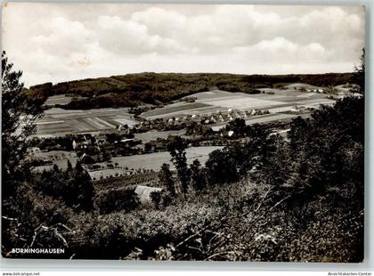 11065036 - Boerninghausen