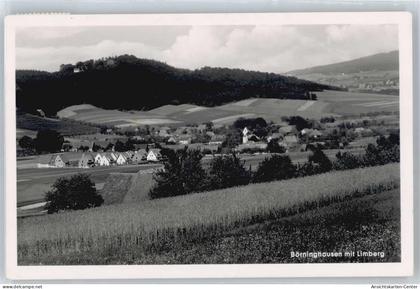 50550188 - Boerninghausen