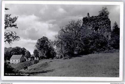 51430816 - Boerninghausen