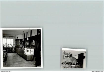 40131909 - Greven , Westf