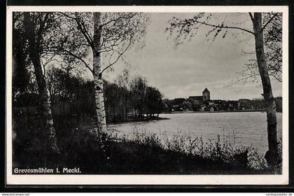 AK Grevesmühlen i. Meckl., Seeufer, Stadtansicht, Kirche