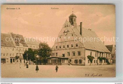 Grimma Rathaus
