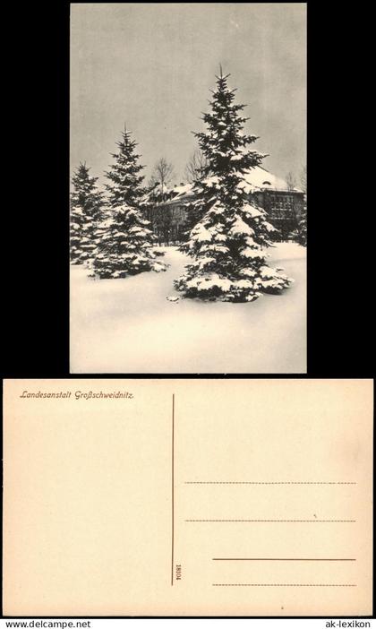Großschweidnitz (OL) Swóńca Landesanstalt Tanne im Winter 1914