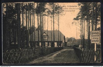 AK Grünheide i. M. Staatl. Hundezucht und Dressuranstalt