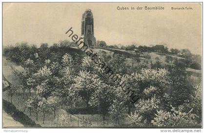 Guben in der Baumblüte - Bismarck-Turm - Verlag Julius Rothe Guben