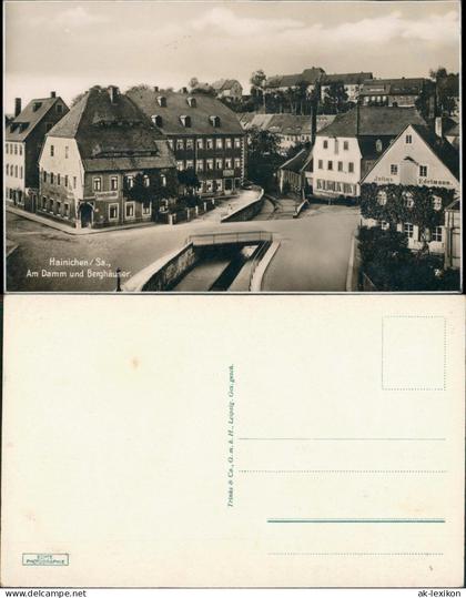 Ansichtskarte Hainichen Am Damm und Berghäuser 1928