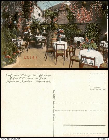 Ansichtskarte Hainichen Wintergarten - Innenansicht 1914