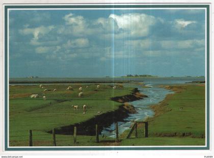 AK 243595 GERMANY - Halligen (?)