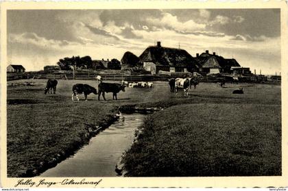 Hallig Hooge