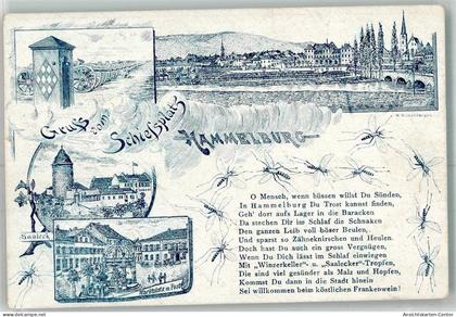 13543107 - Hammelburg