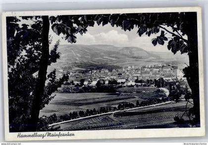 51289568 - Hammelburg