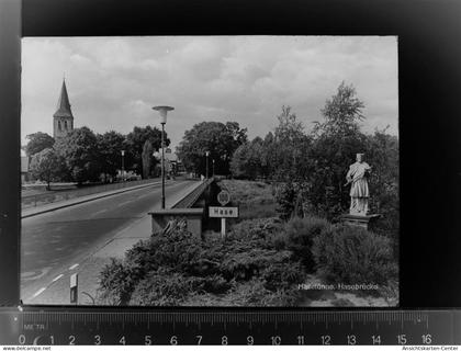 30023116 - Haseluenne