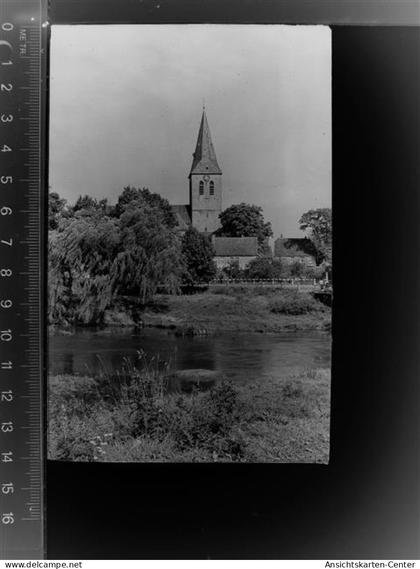 30023129 - Haseluenne