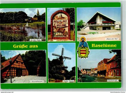 39456660 - Haseluenne