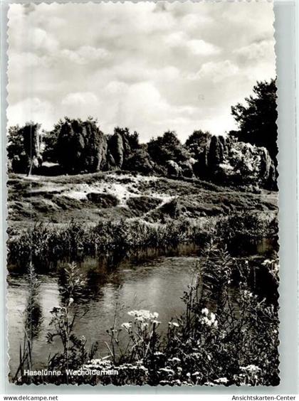 39732168 - Haseluenne