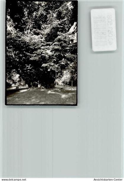 40063508 - Heide , Holst