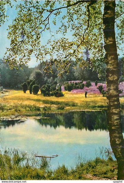 CPM Heide