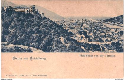 CPA  Carte postale   Germany Heidelberg Gruss aus Heidelberg  Heidelberg vom der Terrasse  VM66834