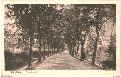 CPA- Carte Postale -Germany-   Heinsberg Promenade  VM43954+