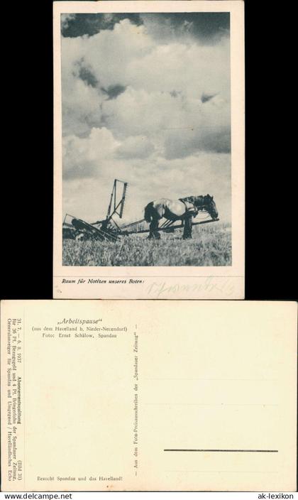 Ansichtskarte Nieder Neuendorf-Hennigsdorf Pferd zieht Pflug 1929