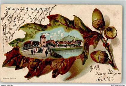 13525284 - Hersbruck