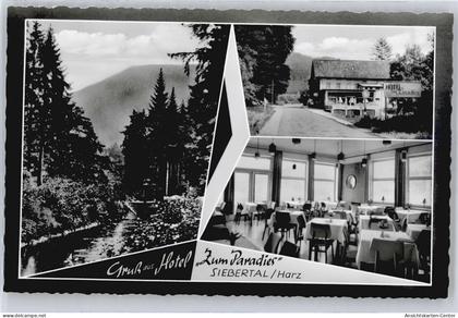 50713531 - Herzberg am Harz