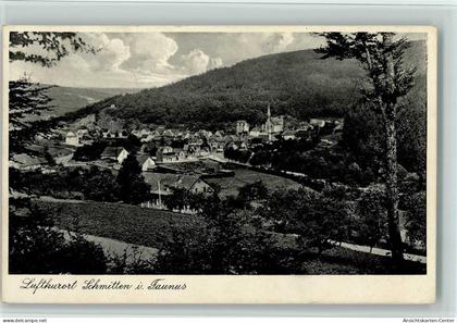 11071837 - Schmitten , Taunus