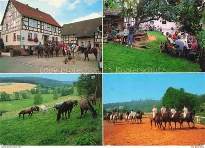 Antrifttal Vogelsbergkreis Hessen Reiterhof Pferde Weide Reitunterricht Fachwerk
