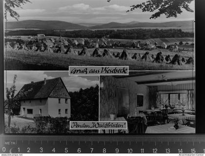 30020236 - Hildesheim