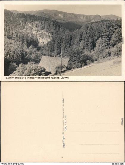 Ansichtskarte Hinterhermsdorf-Sebnitz Panorama-Ansicht 1930