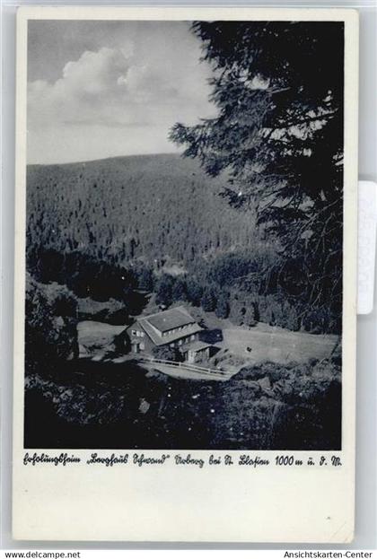 50693855 - Hinterzarten