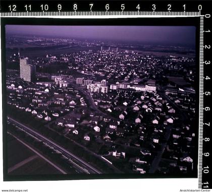 31003982 - Hochheim am Main