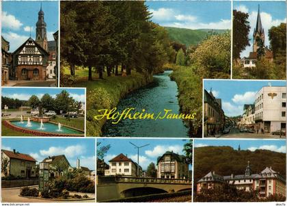 CPM HOFHEIM AM TAUNUS Scenes GERMANY (1419604)