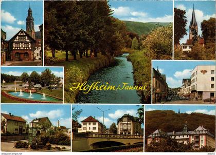 CPM HOFHEIM AM TAUNUS Scenes GERMANY (1419605)