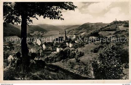 Horb Neckar Panorama