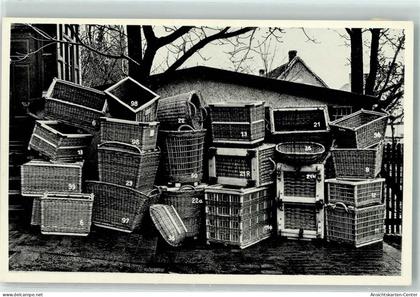 13145160 - Brachelen