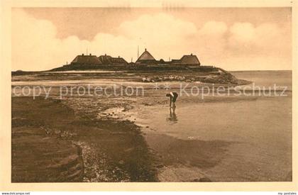 Halligen Nordsee Warft Hilligenlei