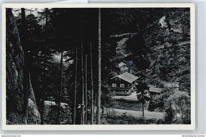 50387102 - Ilmenau , Thuer