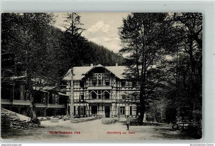 39142869 - Ilsenburg