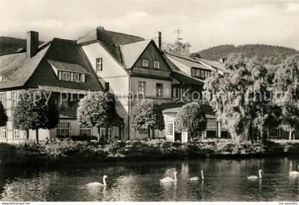 Ilsenburg Harz Forellenteich