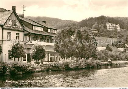 Ilsenburg Harz Forellenteich