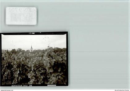 40049700 - Ingelheim am Rhein